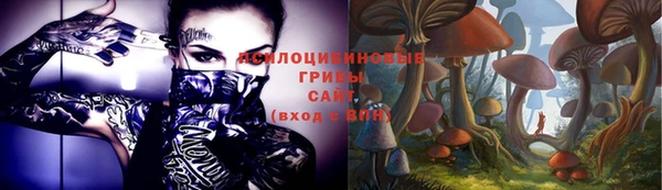 PSILOCYBIN Лихославль