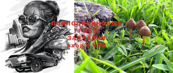 прущие крисы Лиски