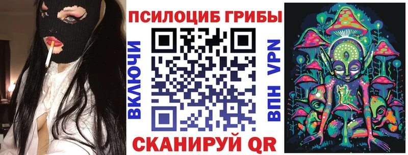 Купить где  Хабаровск  Галлюциногенные грибы Psilocybe 